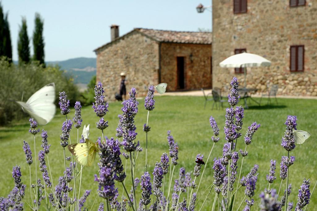 Tenuta Casabianca Murlo Habitación foto